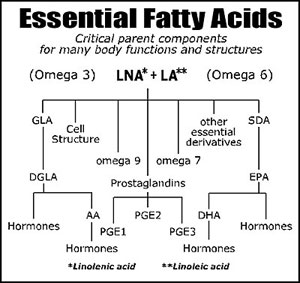 Click Here for essential fatty acids